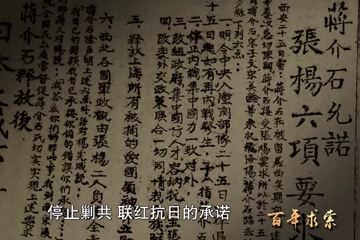 百年求索 14 合作抗日