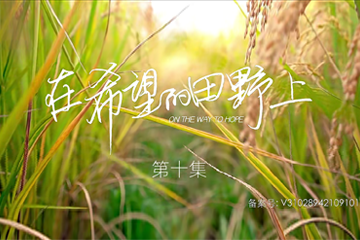 在希望的田野上 10