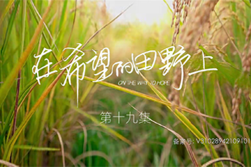 在希望的田野上 19